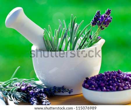 Fresh lavender herbs in the mortar - alternative medicine, healthy cosmetics concept