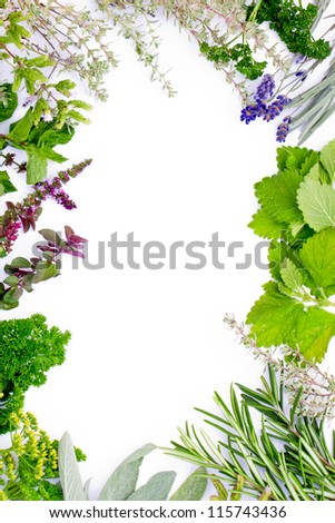 Freshly harvested herbs, herbs frame over white background