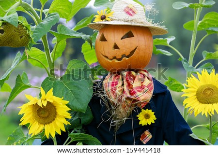 Scarecrow in the garden - Autumn harvests, Thanksgiving vegetable, Halloween