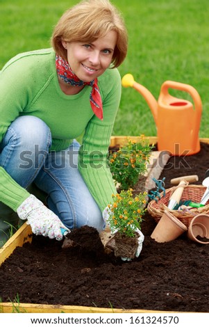 Gardening, planting - woman planting flowers in the garden