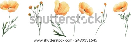 Similar – Image, Stock Photo Flowering poppy at the edge of the field (Island of Rügen)