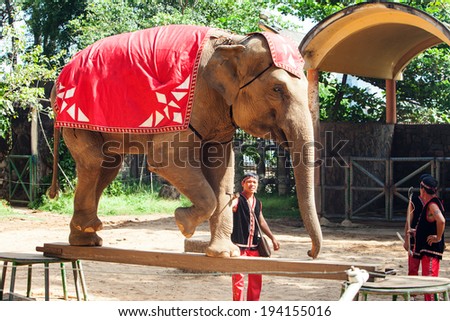 Ho Chi Minh City, Vietnam, March 23, 2014, an elephant is walking through a little wood bar at the elephant show in the zoo.