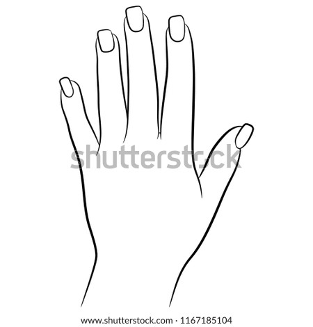 Isolated vector illustration. Female hand with square nails. Top view. Hand drawn linear sketch. Black silhouette on white background.