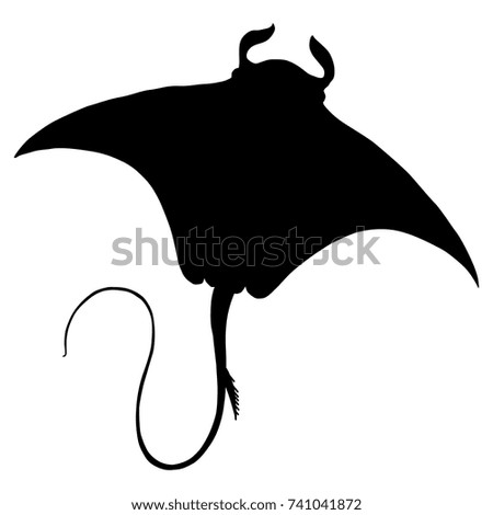 Manta Ray Drawing | Free download on ClipArtMag