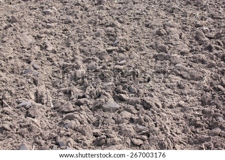 Dry agricultural brown soil detail natural background, soil dirt texture surface with some fine grain in it under bright sunlight