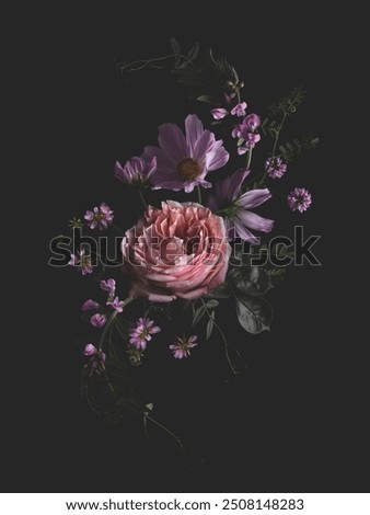 Similar – Image, Stock Photo Pink blossom of cosmea bipinnata (jewelry basket) against the light with raindrops in front of a grey sky