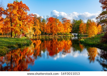 Similar – Foto Bild Herbstlaub im See Blätter