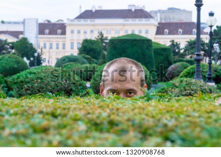 Young man is hiding behind a green bush and is peeping for a joke in park in Vienna Austria Stock fotó © 