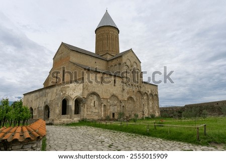 Similar – Image, Stock Photo Vineyard on a cloudy day