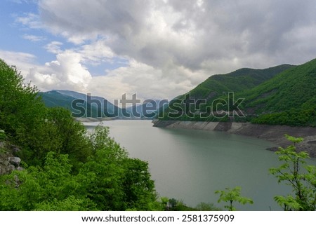 Similar – Image, Stock Photo Bush between blue and gray