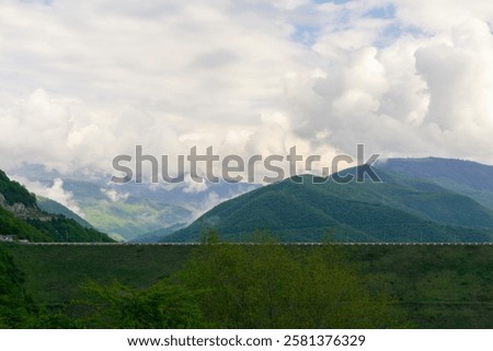Similar – Image, Stock Photo Bush between blue and gray