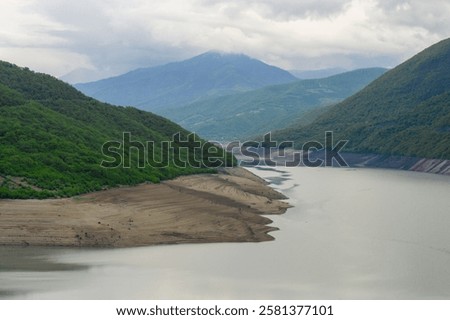 Similar – Image, Stock Photo Bush between blue and gray