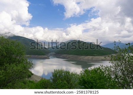 Similar – Image, Stock Photo Bush between blue and gray