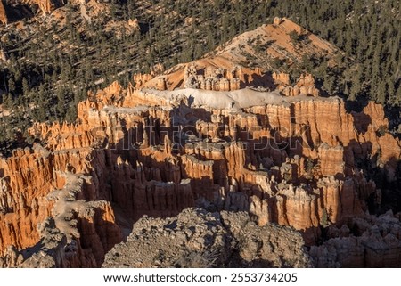 Similar – Image, Stock Photo Hoodoo formation at Bryce Canyon National Park, Utah