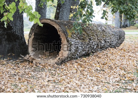 Similar – Image, Stock Photo secession Colour Wood Old