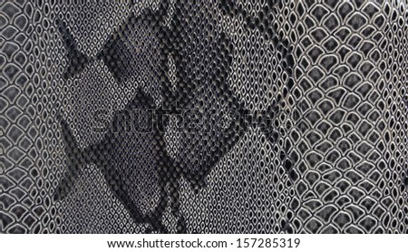 Snake skin pattern use for background