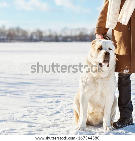 Man and central Asian shepherd walk in the lake