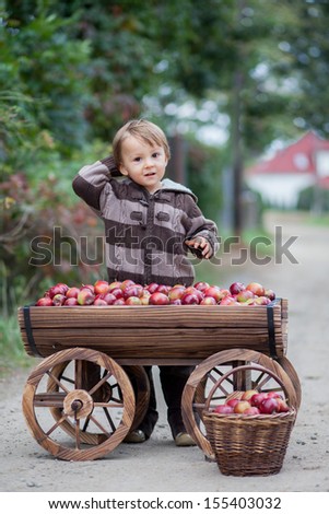 Boy with a trolley, full of apples