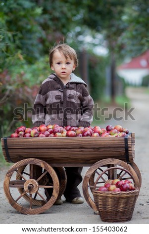 Boy with a trolley, full of apples