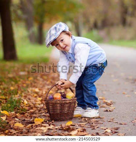 Boy in a park with leaves and basket of fruits