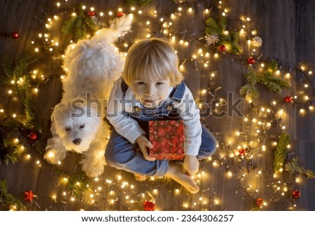 Similar – Image, Stock Photo Boy Christmas Boy (child)