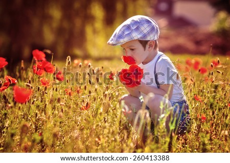 Cute little boy with poppy flower on poppy field on warm summer day, enjoying the day. Beautiful childhood, childish games