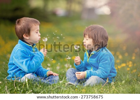 Happy cute caucasian boys, brothers, blowing dandelion outdoors in spring park