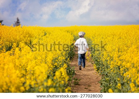 Adorable little boy, running in yellow oilseed rape field, backwards, feeling happy and free