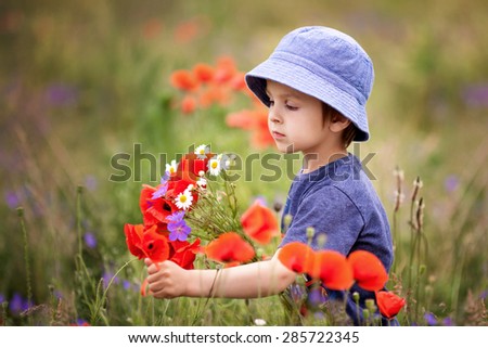 Cute kid boy with poppy flowers and other wild flowers in poppy field on warm summer day, nice soft evening light