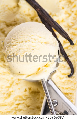 ice cream: Ice scoop in vanilla ice cream with vanilla bean