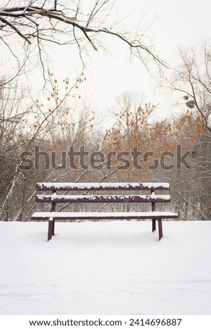 Image, Stock Photo snow bench Snow Winter