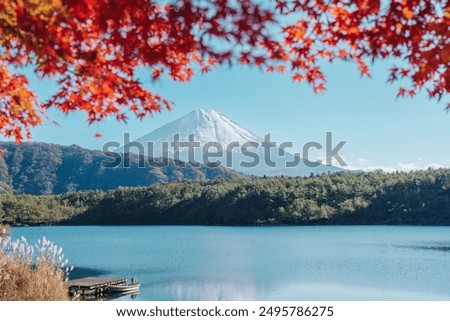 Similar – Image, Stock Photo Autumn at the lake leaves