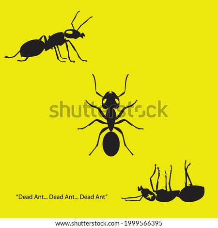 three ants: top view, side view, dead view. illustration vector.