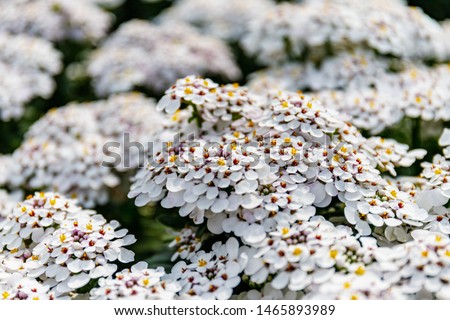 Shutterstock Puzzlepix