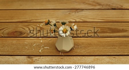 Yellow pollen on the white petals of little meadow daisies  in a small white ceramic vase on brown rustic wooden background with leafless petals, faded color