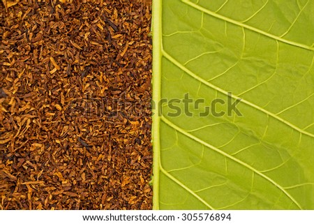Dry brown smoking tobacco on  the background of the back side of green tobacco leaf, macro