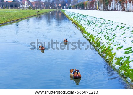 Similar – Image, Stock Photo Heidelberg in Winter (3)