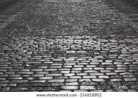 Grey cobblestone road in the night.\
Warsaw, Old Town.