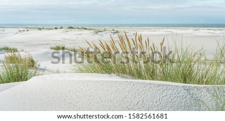 Similar – Foto Bild Ruhiger Nordseestrand