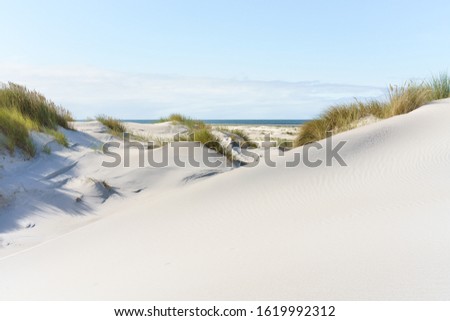 Similar – Foto Bild Ruhiger Nordseestrand