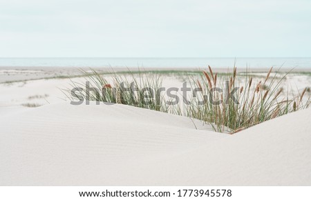 Similar – Image, Stock Photo Landscape of lonely sandy seashore with cloudy sky