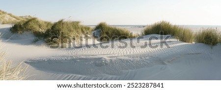 Image, Stock Photo Sandy beach on Amrum, Germany. Photo: Alexander Hauk