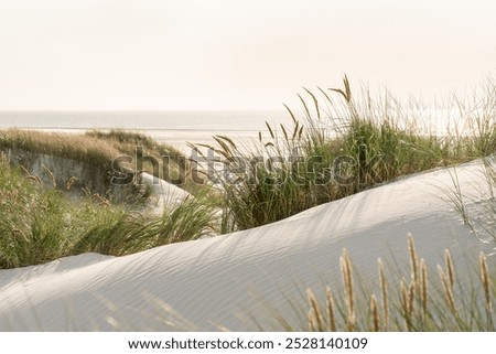 Similar – Image, Stock Photo North sea beach with marram grass. Sylt island beach landscape