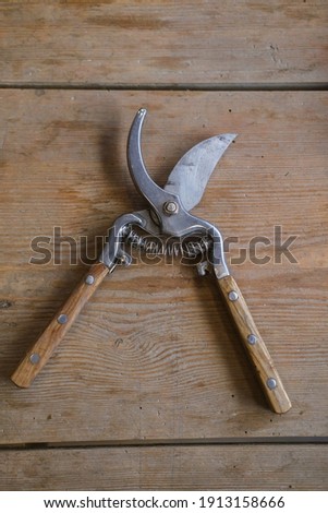 The pruner is lying on a wooden table. High quality photo Photo stock © 