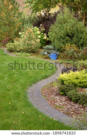 Similar – Image, Stock Photo green Plant stones clinker