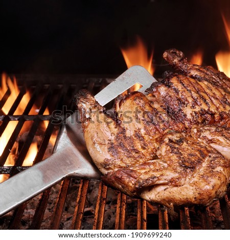 Chicken Whole Grilled On Hot Barbecue Charcoal Flaming Grill. Juicy Chicken Meat Roasted on BBQ Grill. Backyard Grill Party Dish From Poultry Isolated On Black Background, Closeup View.
