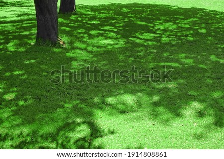 Similar – Foto Bild Baumschatten auf Haustür im Winter in Kreuzberg