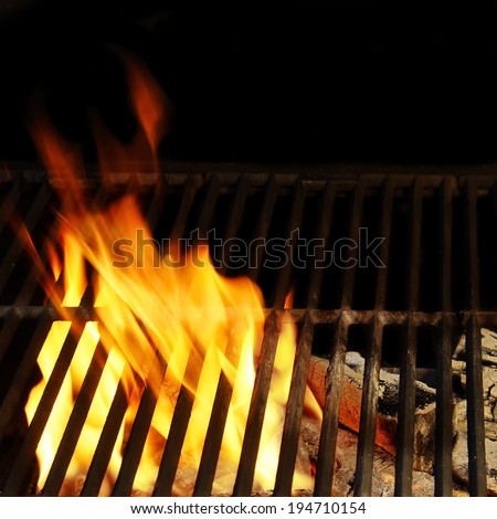 Hot BBQ Grill, Bright Flames and Burning Coals. You can see more BBQ, grilled food, fire&flames in my set.