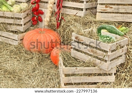 Autumn Composition With Large Pumpkin on Straw and Wooden Crates