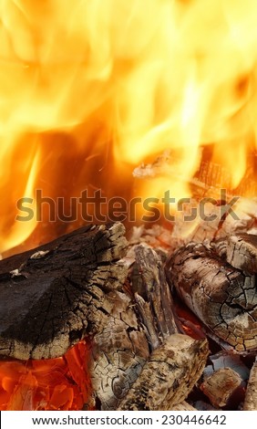 Abstract Bright Fire Flames Background. Charcoal Burning in BBQ pit
